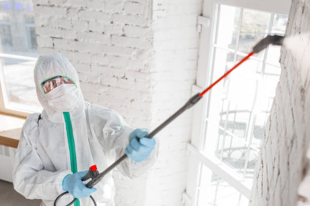 Best Air Quality Testing for Mold Spores  in Joshua Tree, CA