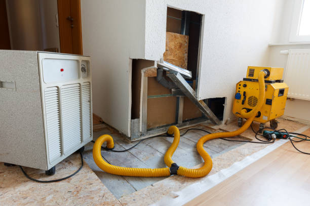 Best Crawl Space Mold Remediation  in Joshua Tree, CA